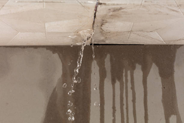 Professional Water Damage Repair technician working in Killen, AL